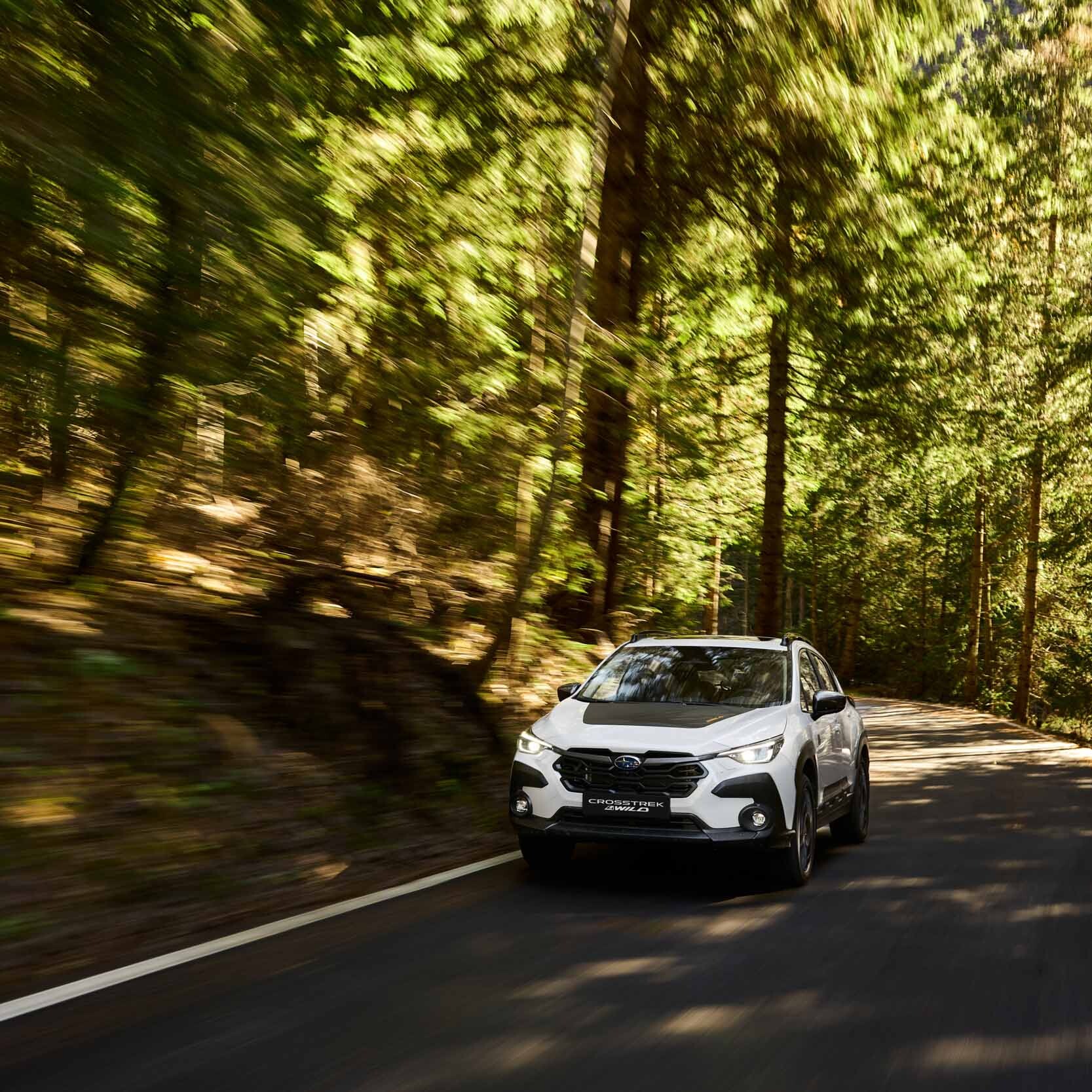 Subaru 4Wild